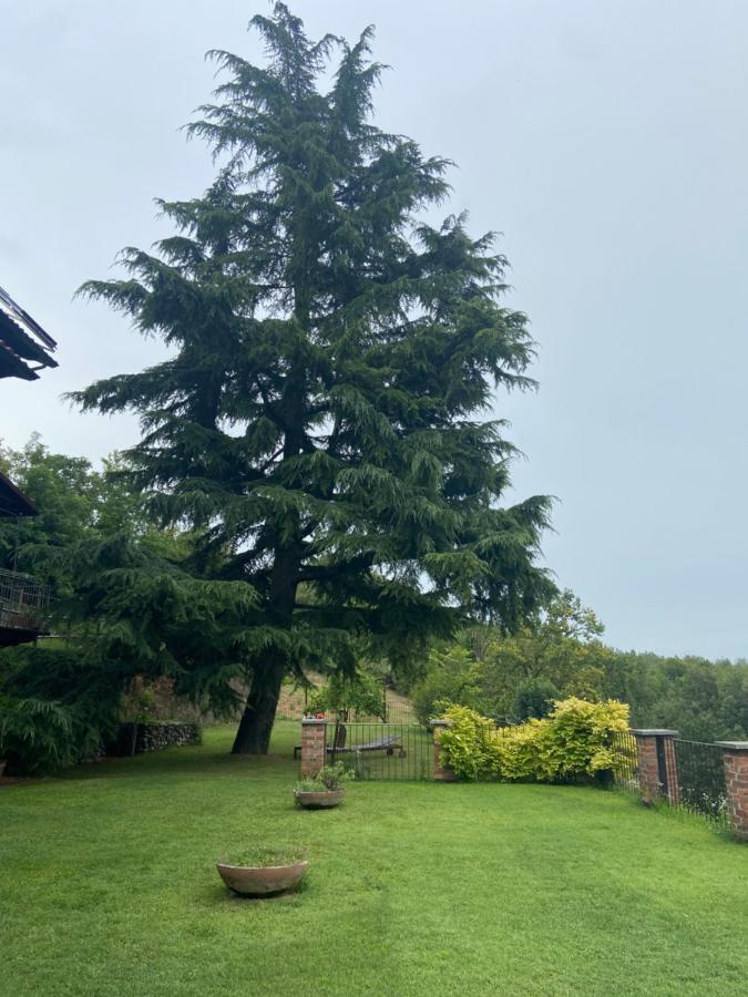 코코나토 Al Riccio B&B 외부 사진